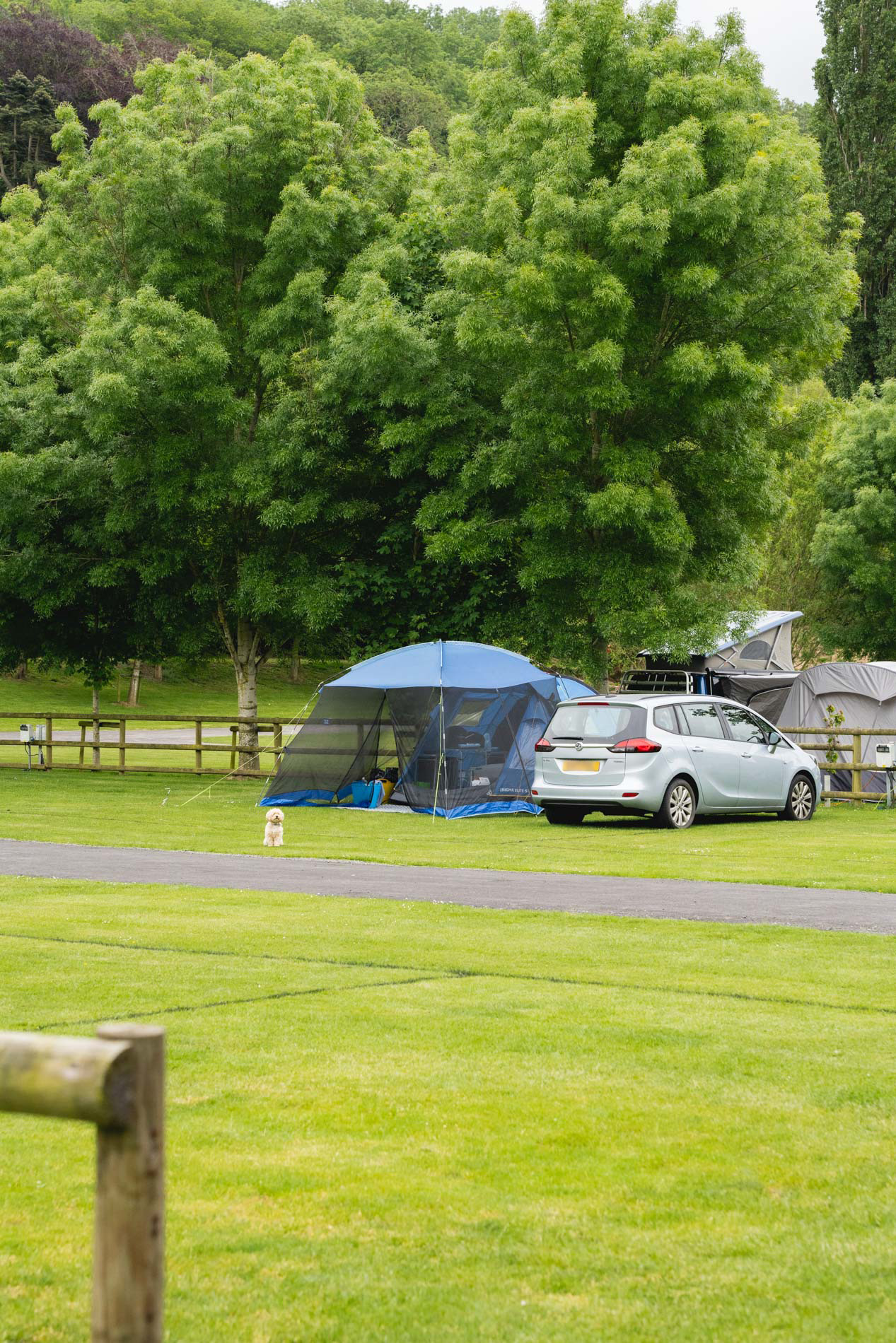Williams Leisure | Lucksall Holiday Park | Camping area