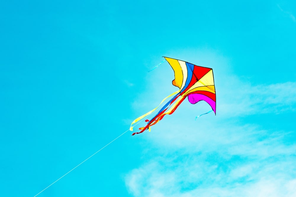 Skies Alive with Colour: Visit the Local Kite Festival