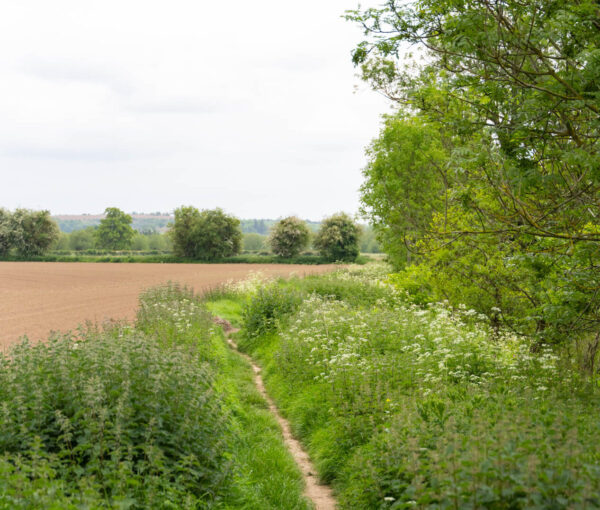 Lucksall_WebRes-203-aspect-ratio-1267-1078