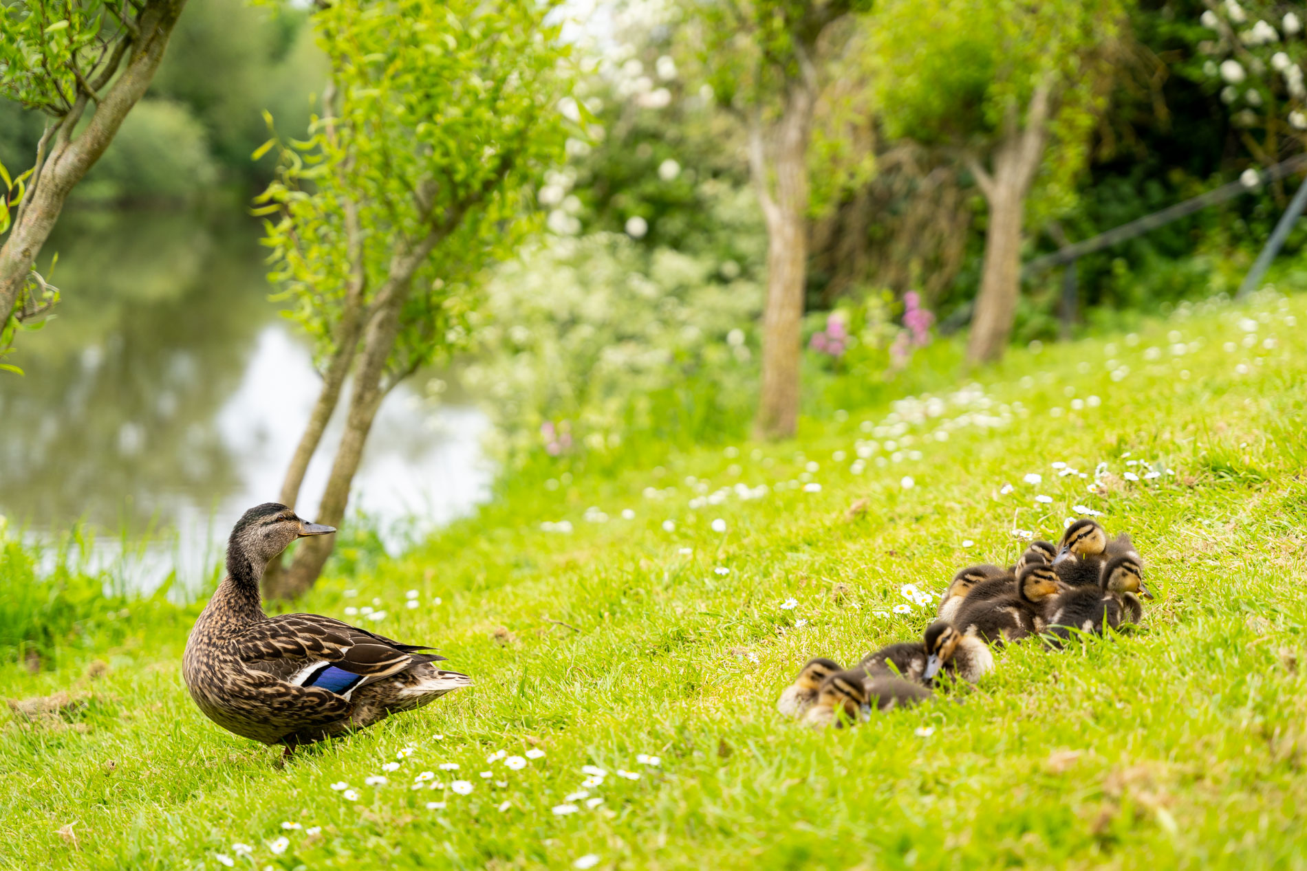 Last-Minute Easter Weekend Glamping Getaway